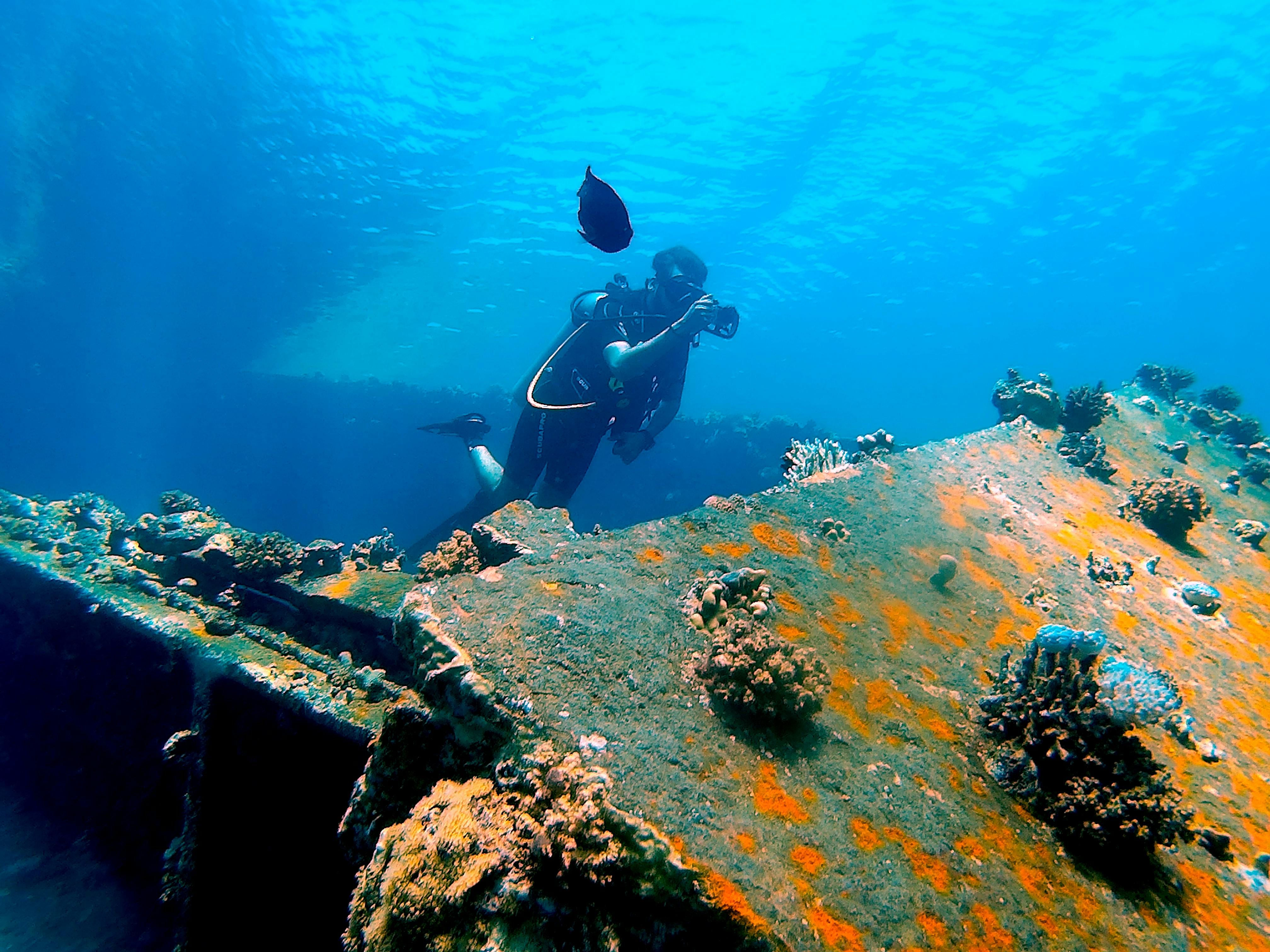 Divers preparing their gear on the back of a dive boat